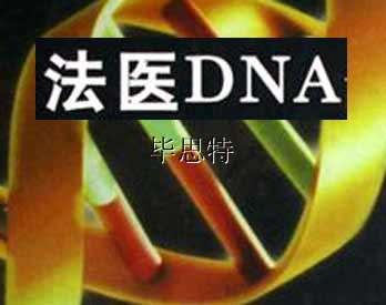 DNA测序实验室配套设备 法医实验室刑事侦查设备 - 刑侦设备,技术侦查设备,司法鉴定设备,技侦设备,现场勘查取证设备,现场勘察箱,智慧靶场 ...